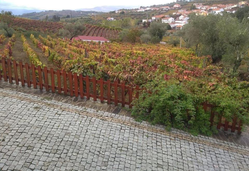 Hotel Casa Do Poco - Douro Peso da Régua Exterior foto